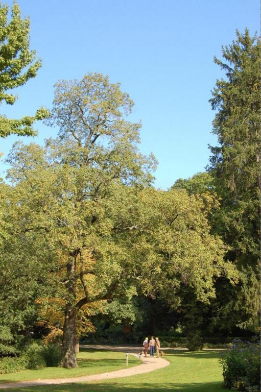 Bed & Breakfast Le Vendome Cote Jardin 2*