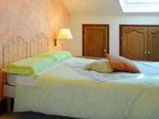 Le Vendome Cote Jardin 2* Tours